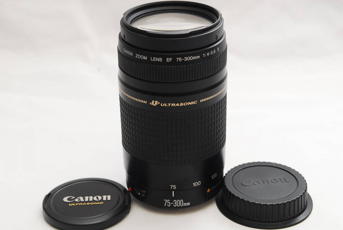 CANON ZOOM LENS EF 75-300mm 1:4-5.6ⅡUSM 0713-01 Canon 75-300mm EF