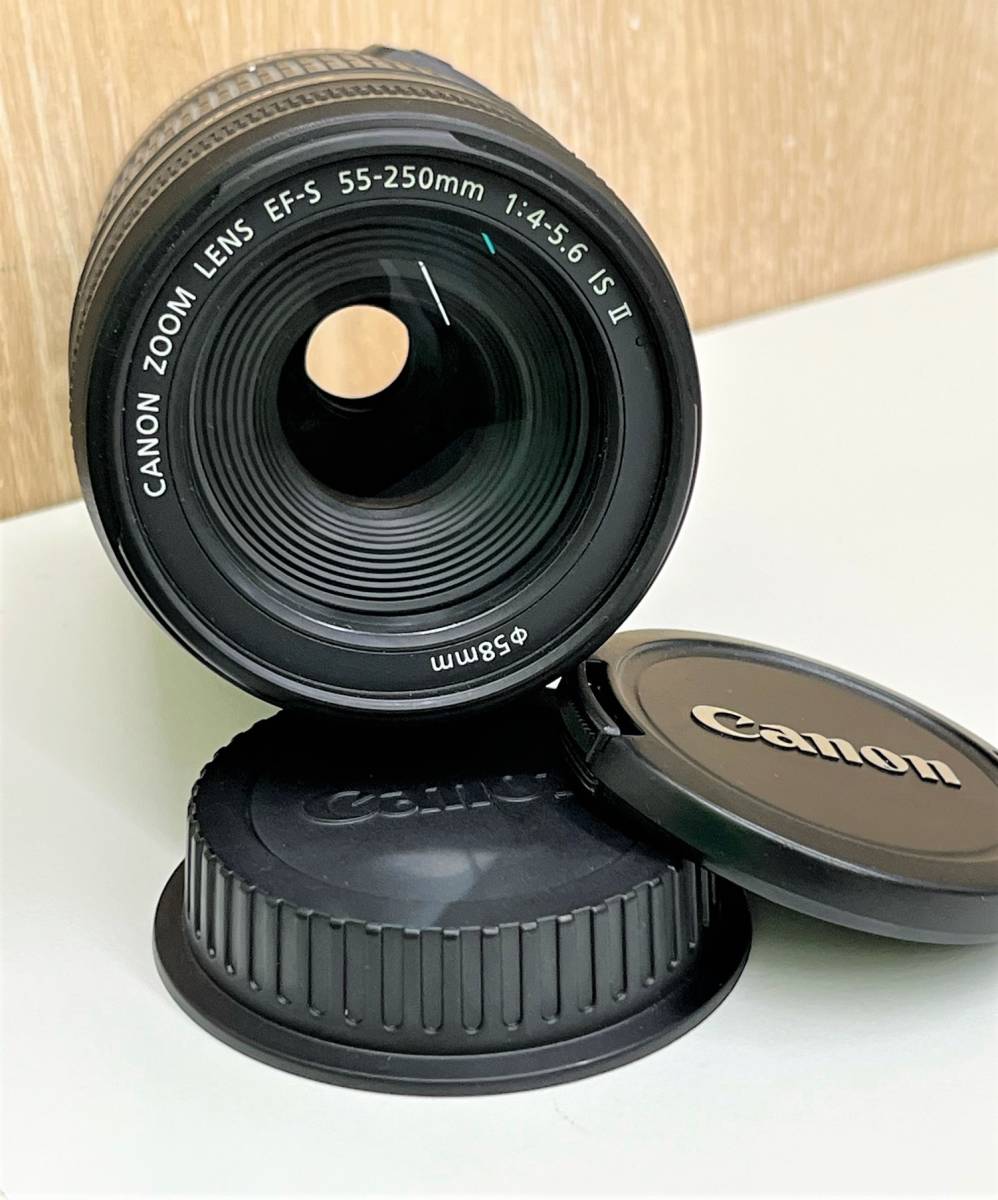 11007】超美品 Cannon ZOOM LENS EF-S 55-250mm F4-5.6 ISⅡ