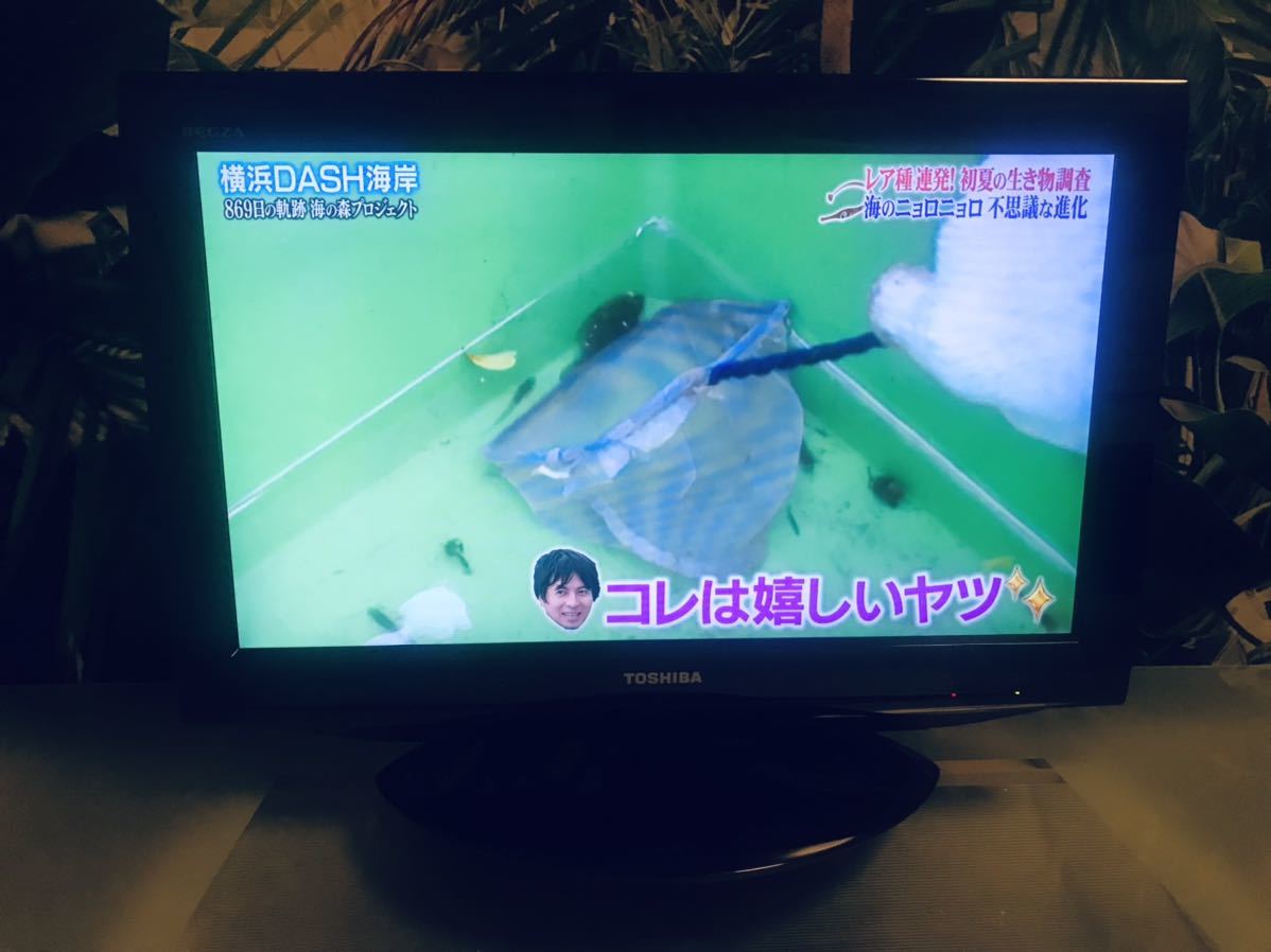 TOSHIBA 東芝 REGZA 液晶テレビ 22型 REGZA 22型 TOSHIBAREGZA 22年