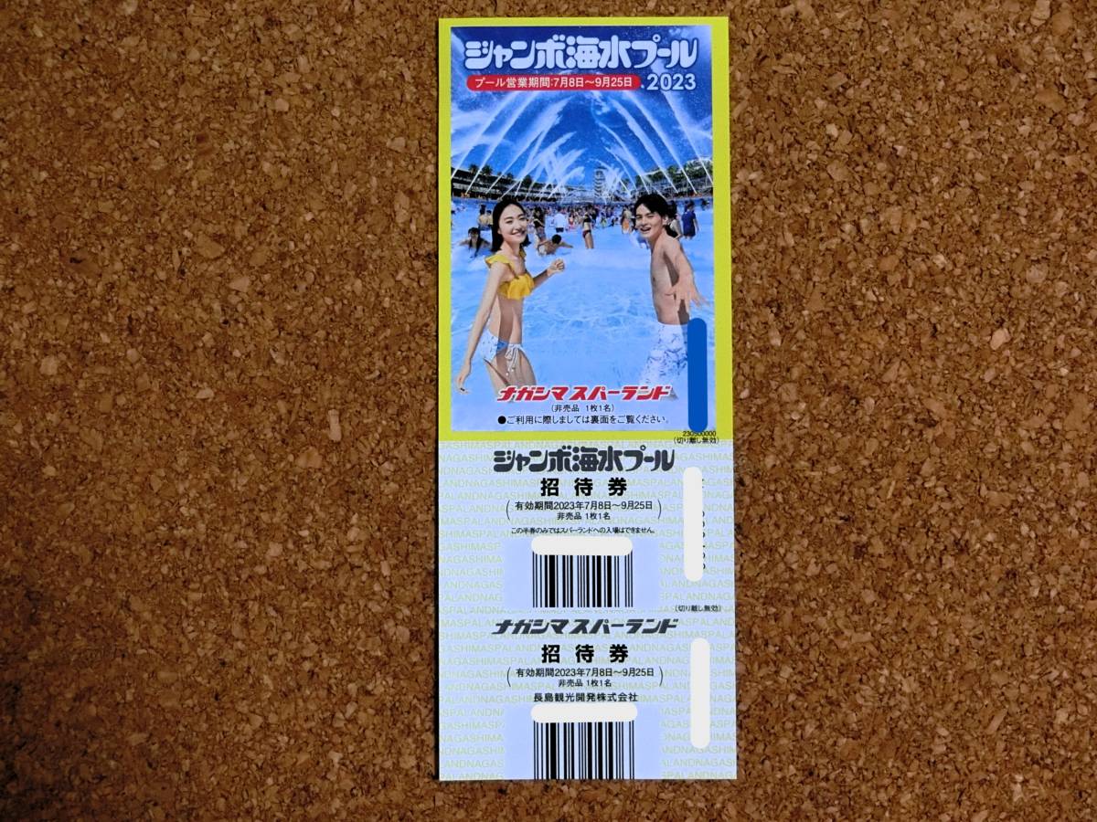 ナガシマスパーランド ジャンボ海水プール 招待券 複数枚あり
