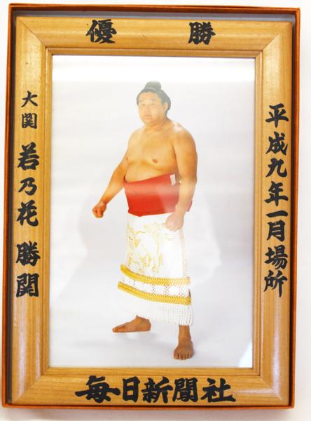 大相撲 優勝額 平成9年 1月場所 大関 若乃花 勝関 横綱 【公式通販】