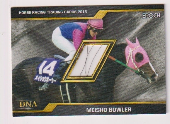 競馬 EPOCH HORSE RACING メイショウボーラーDNA CARD