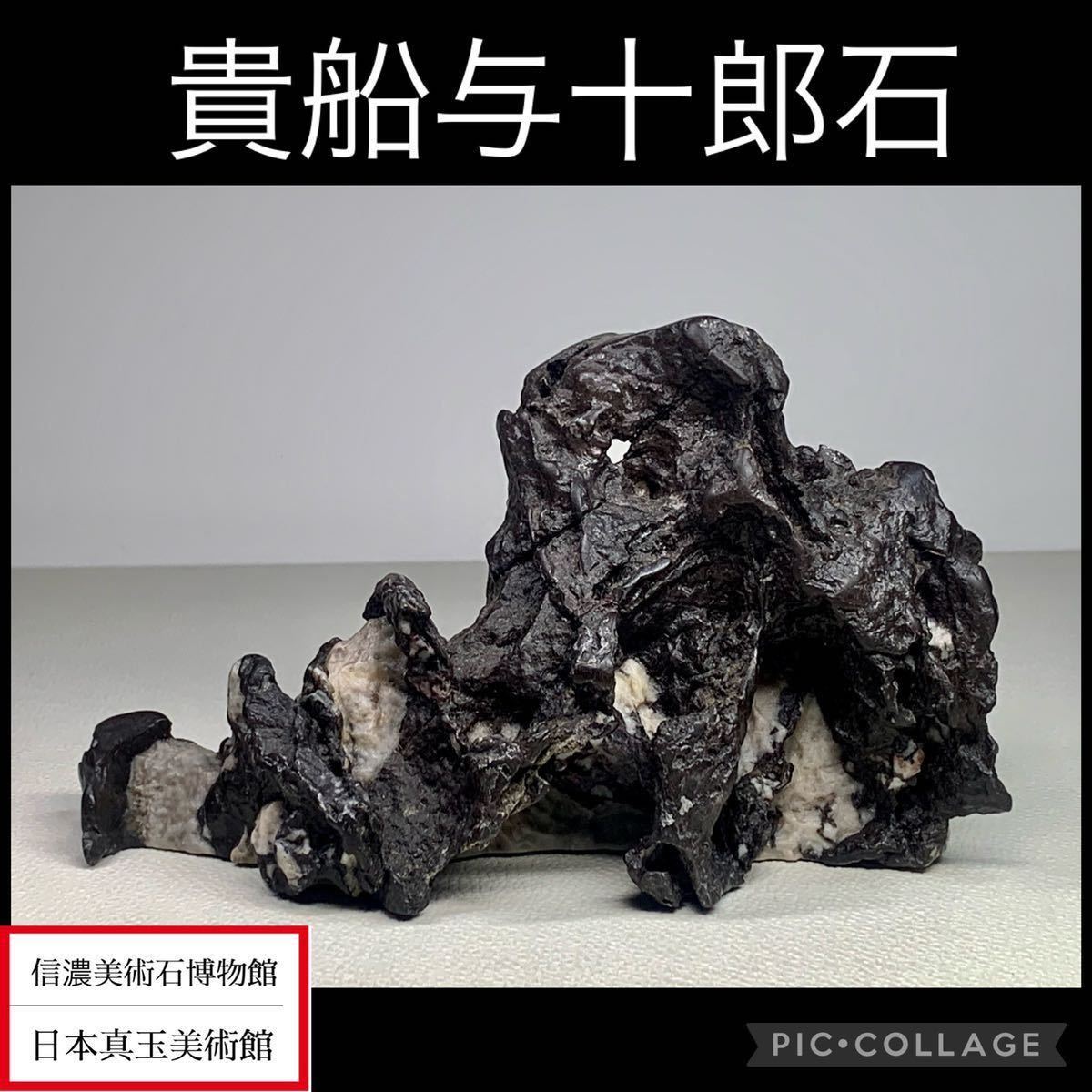 超激得，SALE 《夏休み特集》水石盆栽 貴船与十郎石 横17