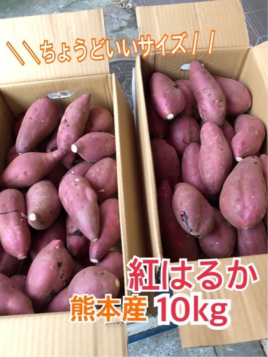 お得，定番 1円スタート 4980円 熊本県産さつま芋 紅はるか家庭用10kg ちょうどいいサイズ(さつまいも)｜売買されたオークション情報、yahooの商品情報をアーカイブ公開 - オークファン さつまいも