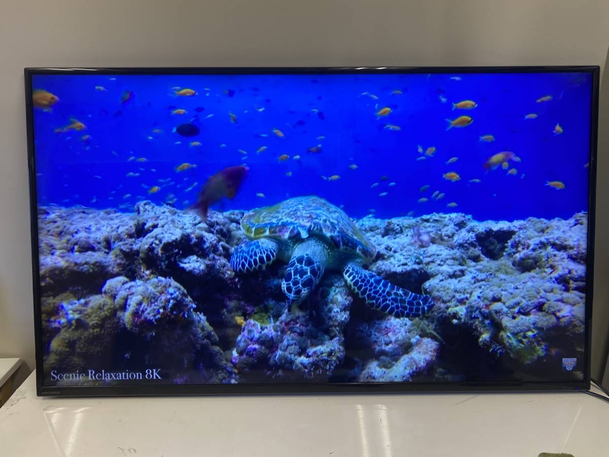 4K IODATA : モニター 55インチ 55型（可視領域 アイ・オー・データ 