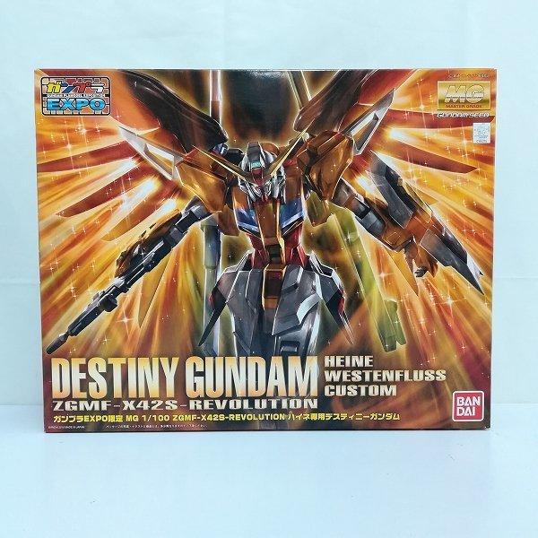 mS554c [未組立] ガンプラEXPO限定 MG 1/100 ハイネ専用ディスティニー 
