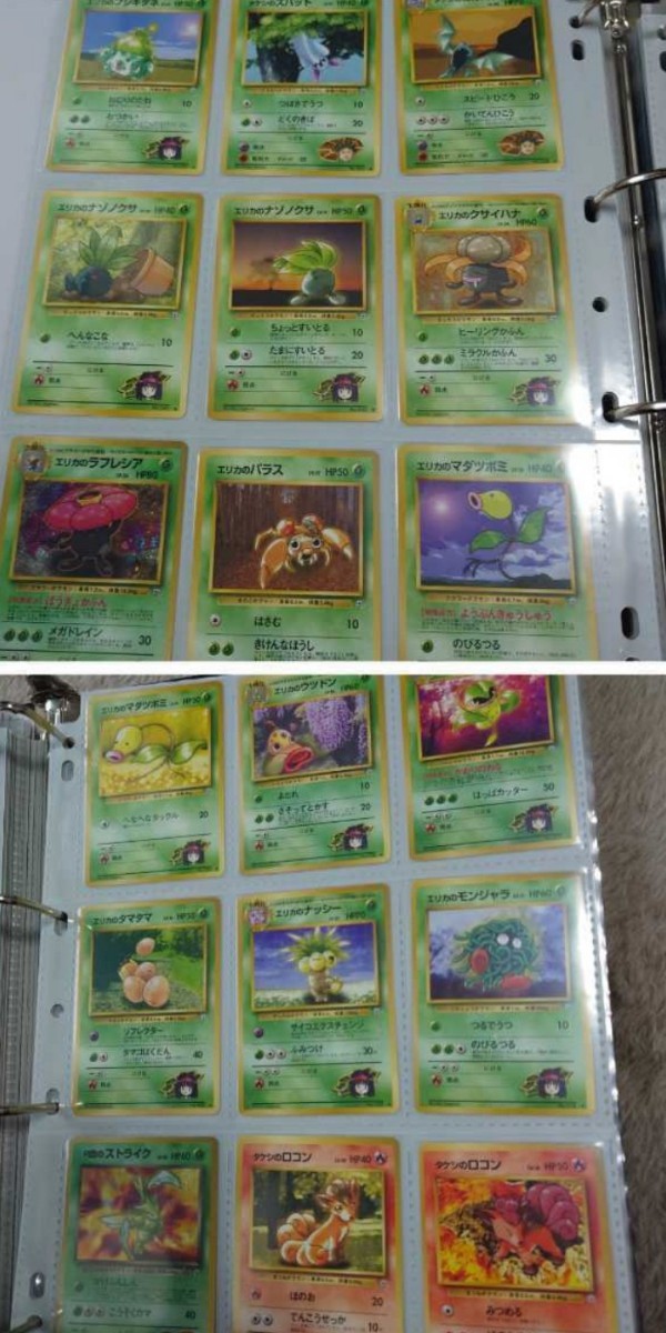 Neoシリーズの地面タイプ/キラカードコンプリートセット ポケモンカード旧裏 Neoシリーズの地面タイプ/キラカードコンプリートセット ポケモン