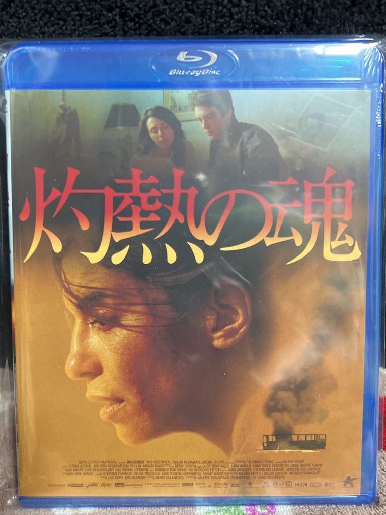 ヌーヴェルヴァーグ [DVD] アラン・ドロン (出演)， ドミツィアーナ