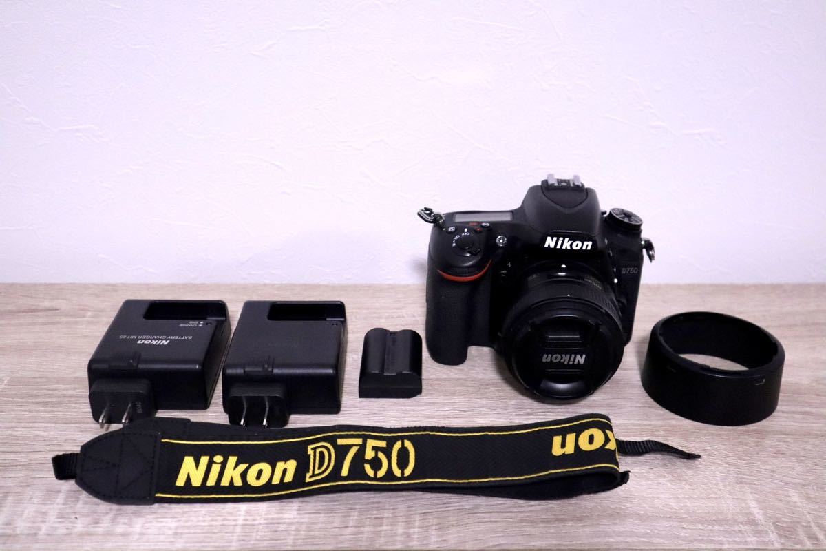 Nikon D750 50mm単焦点レンズ 充電器2個 D750 Nikon フルサイズ 4G 24-
