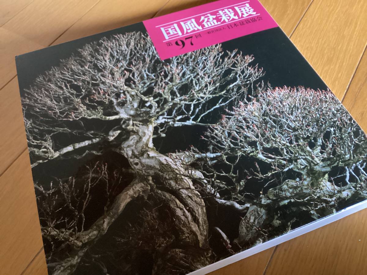 第97回国風盆栽展記念帳 国風盆栽展 極美品 書籍 本