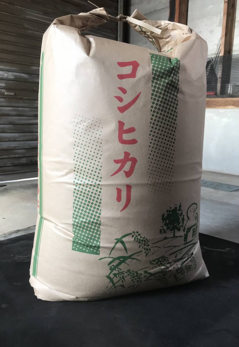 美味しい～ 新潟産 令和 4 年 ☆ コシヒカリ 30 Kg コシヒカリ 令和4年