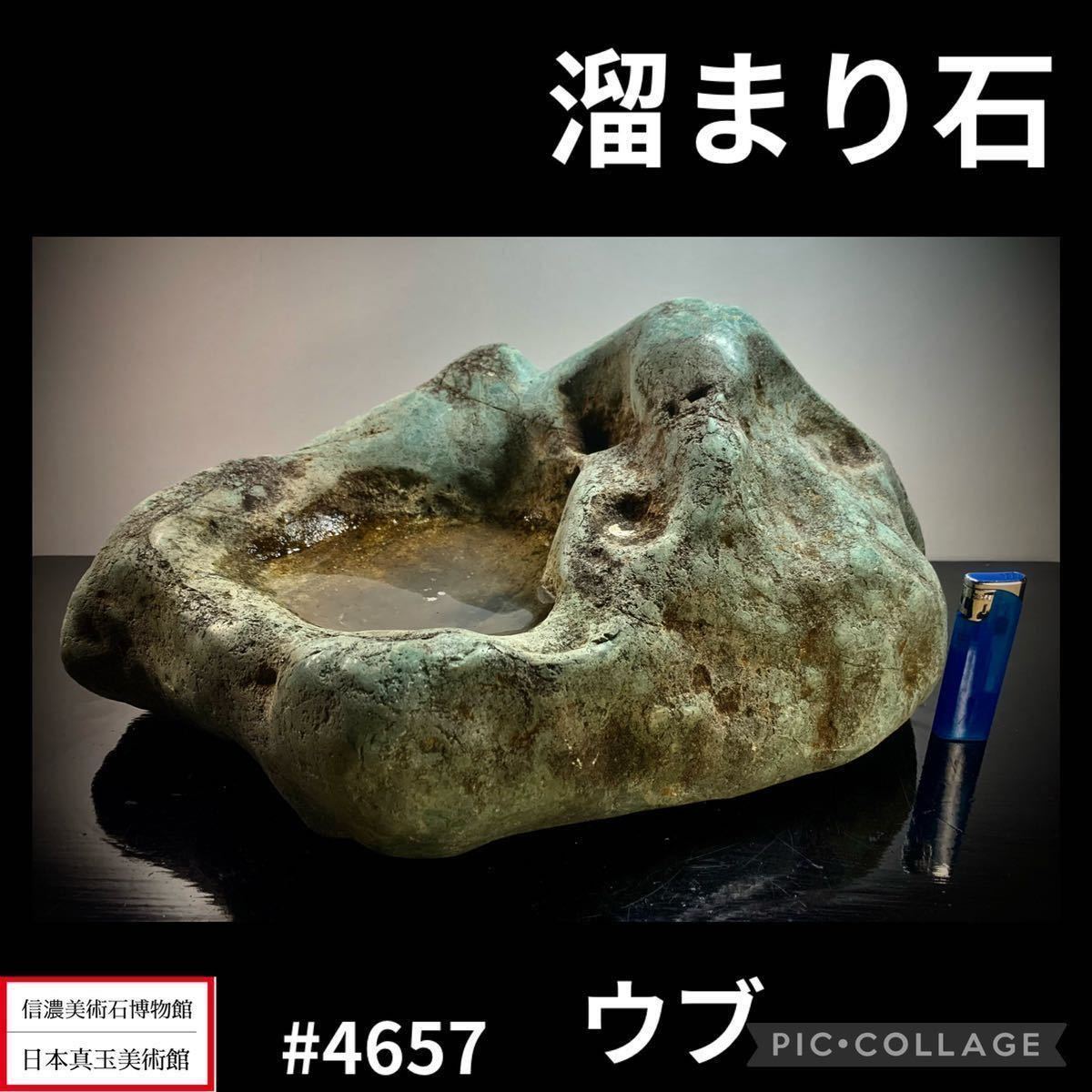 佐治川石 | 水石 天然石 鑑賞石 アクアリウム 【秋の大感謝祭】水石