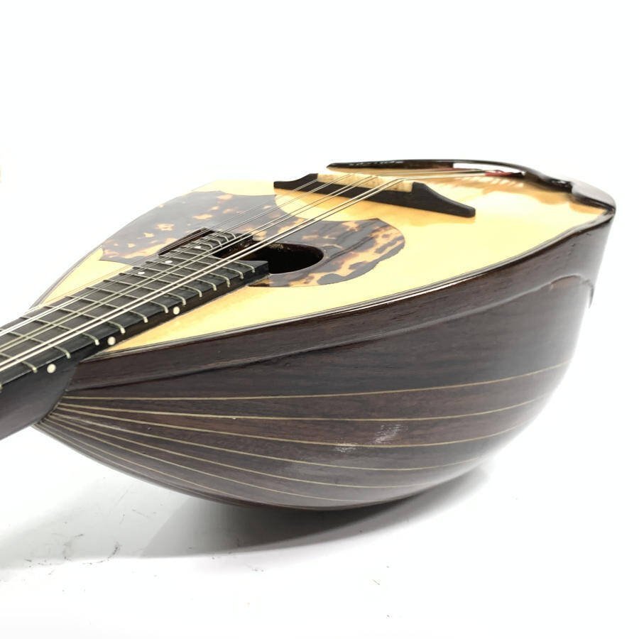 S. Watanabe No.50 Anno1971 渡辺精次 鼈甲多 ※31※ - メルカリ