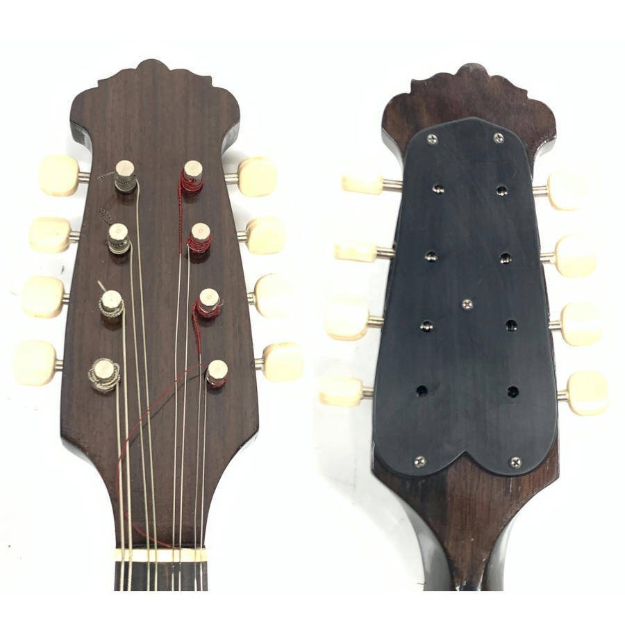 S. Watanabe No.50 Anno1971 渡辺精次 鼈甲多 ※31※ - メルカリ