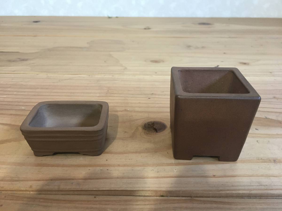 美功 > 盆栽鉢 × 7.4cm 瑠璃釉 美功（びこう） : 遊恵盆栽 釘 