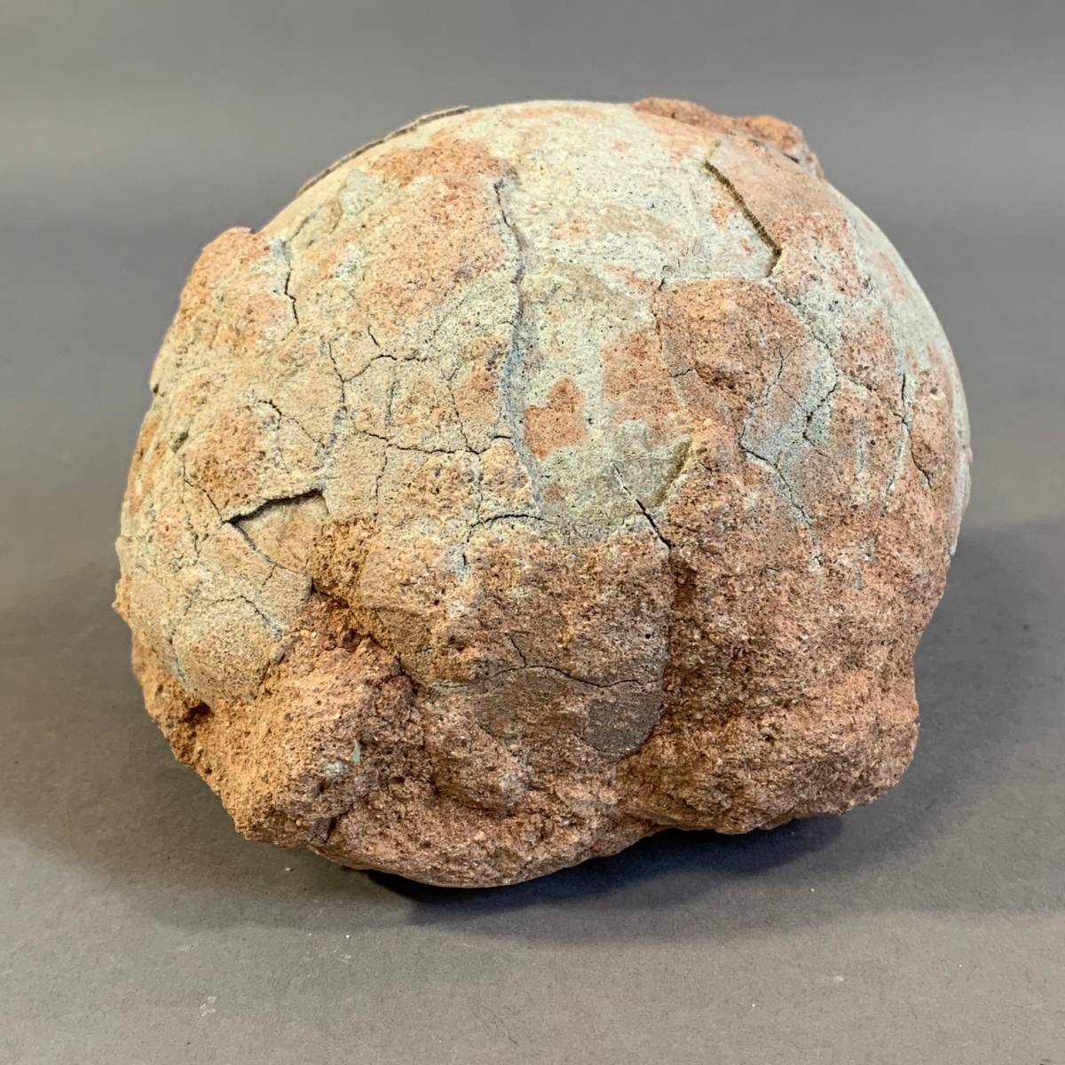 MS173 恐竜の卵 化石 2点セット 産地時代不明 標本 コレクション 図鑑
