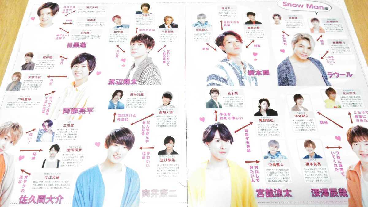 Snow Man ポポロ 2020年4月号 切り抜き/ピンナップ 岩本照 深澤辰哉