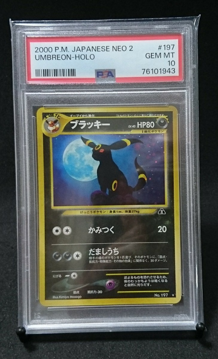 PSA 10 ポケモンカード ブラッキー UMBREON-HOLO 旧裏 極美品 ワン 