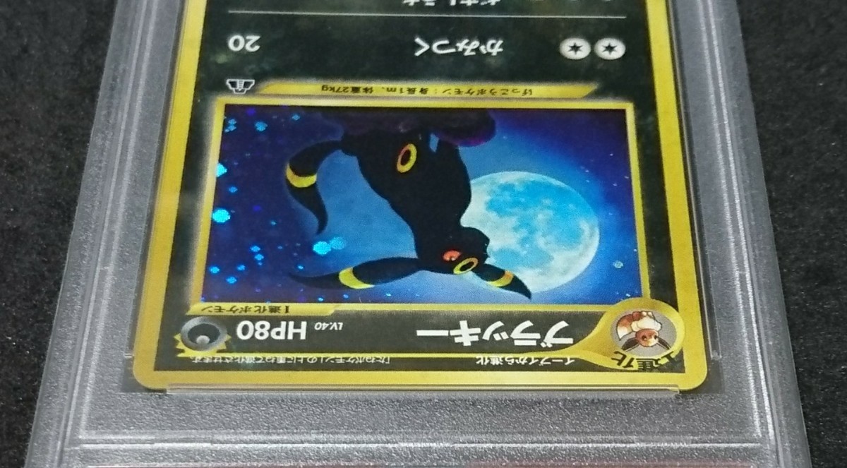 PSA 10 ポケモンカード ブラッキー UMBREON-HOLO 旧裏 極美品 ワン 