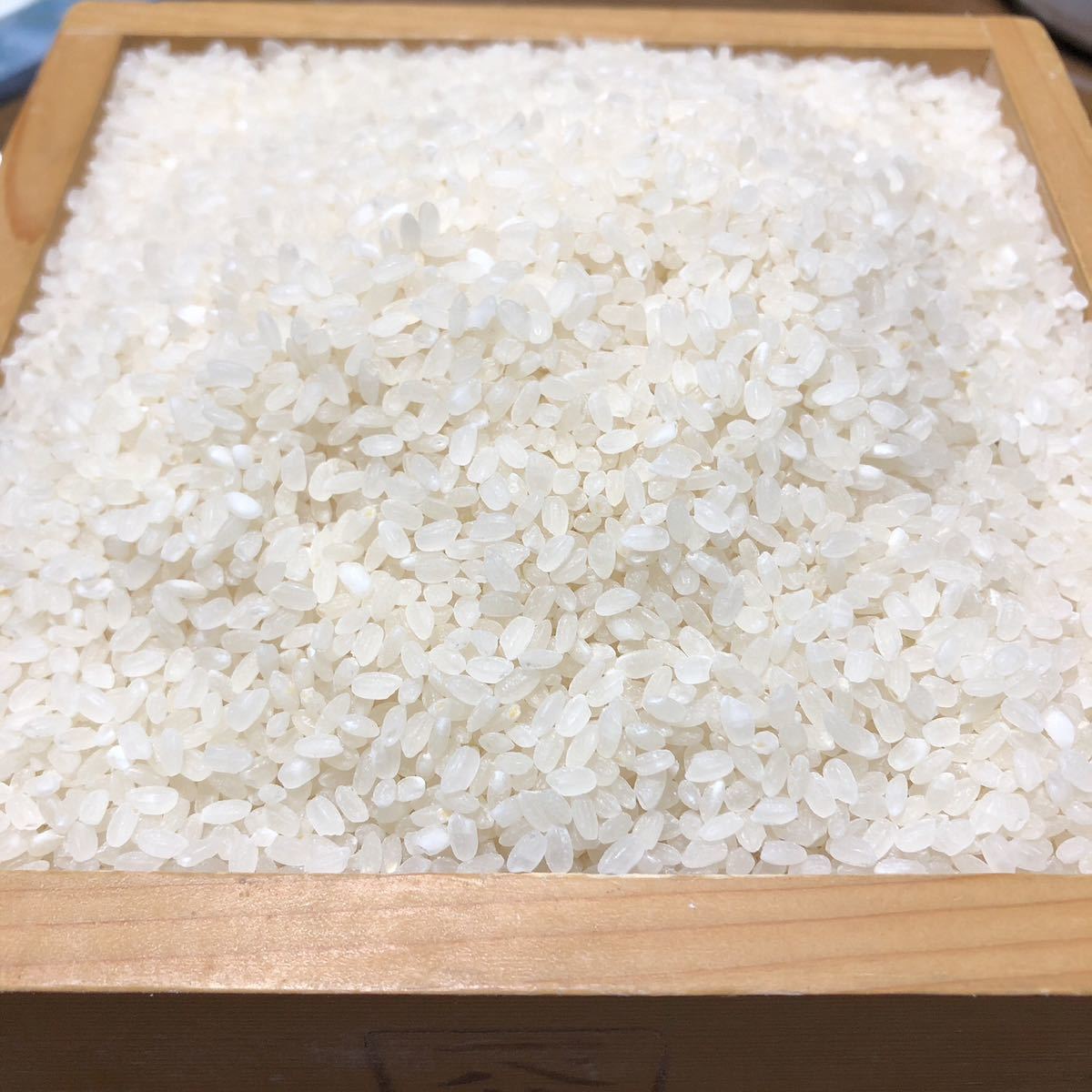令和5年熊本山都町産ヒノヒカリ10kg