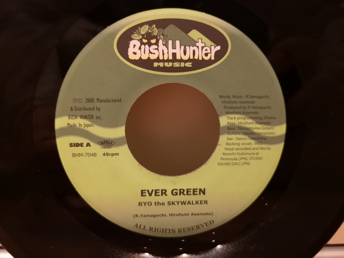 レコード EVER GREEN／RYO THE SKYWALKER ジャパレゲ レコード
