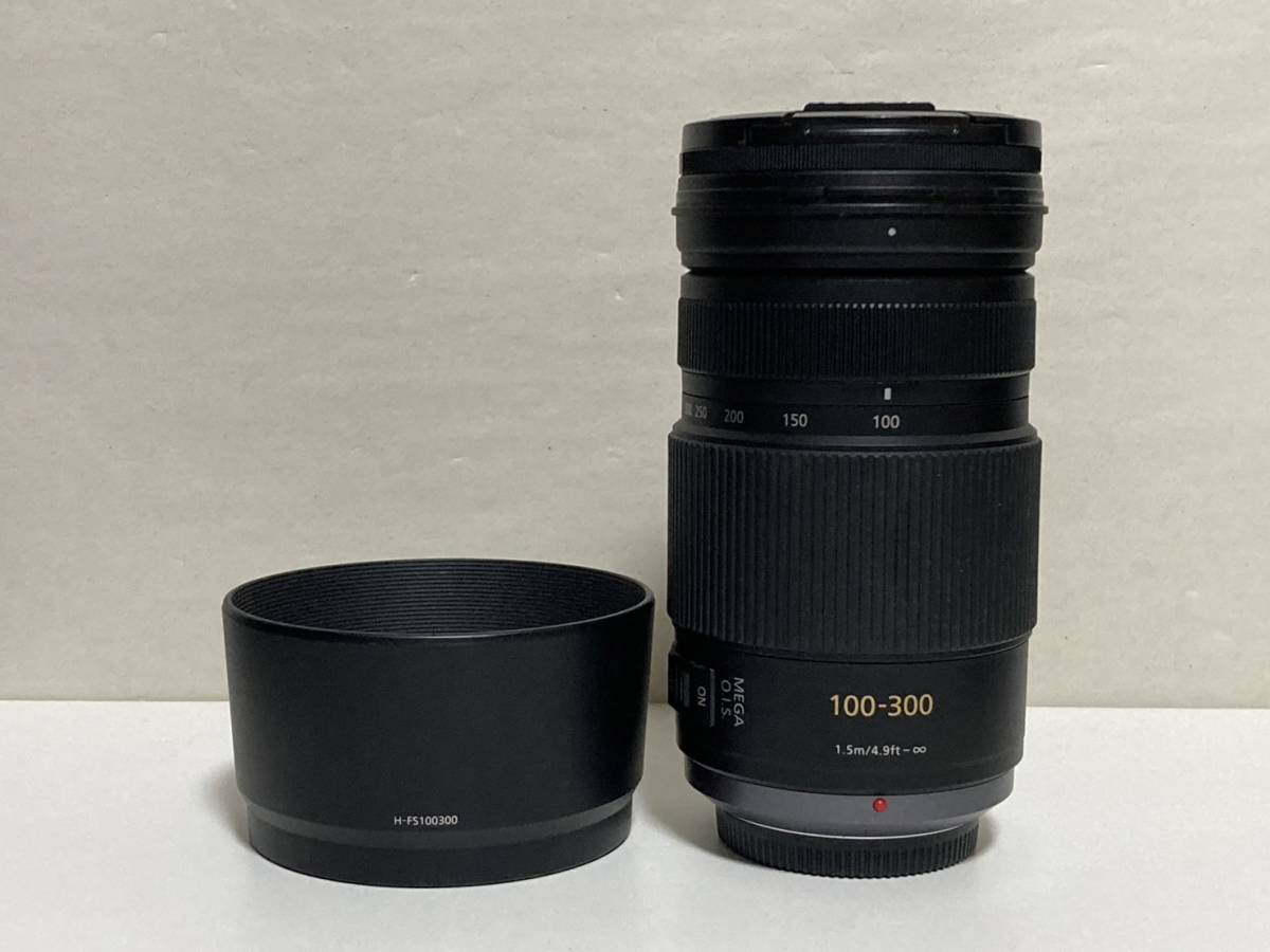 Panasonic LUMIX G VARIO 100-300mm F4.0-5.6 MEGA O.I.S. H-FS100300