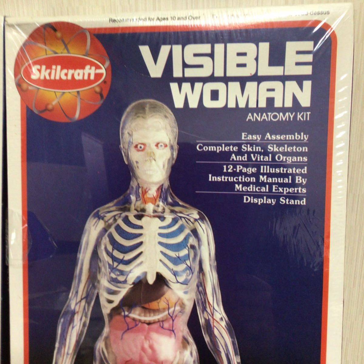 VISIBLE MAN VISIBLE WOMAN ANATOMY KIT 人体模型(医学一般)｜売買されたオークション情報、yahooの商品 ...