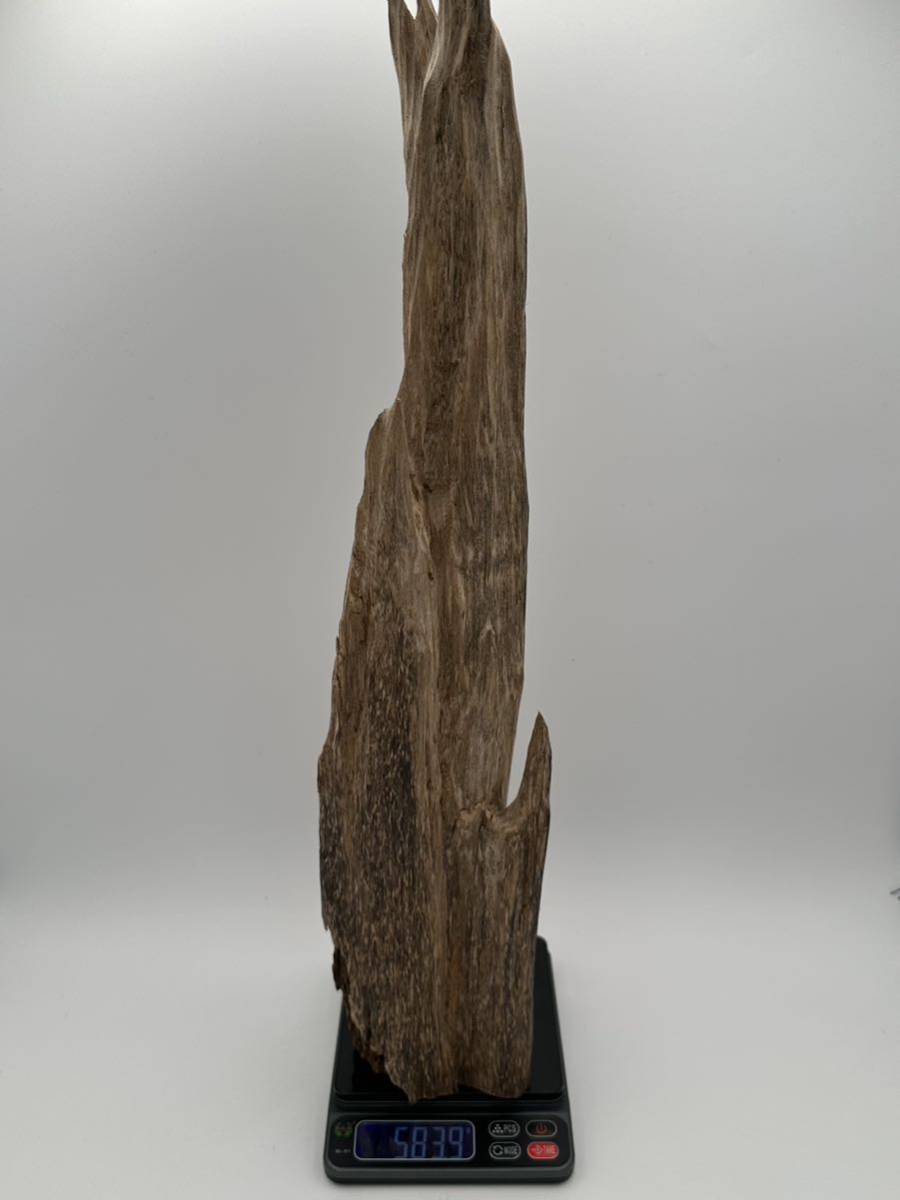 良質 ベトナム産 天然 シャム 沈香 583.9g 香木 伽羅 羅国 真南蛮 真那伽 佐曽羅 寸門陀羅 聞香 香道具 仏具 アロマ