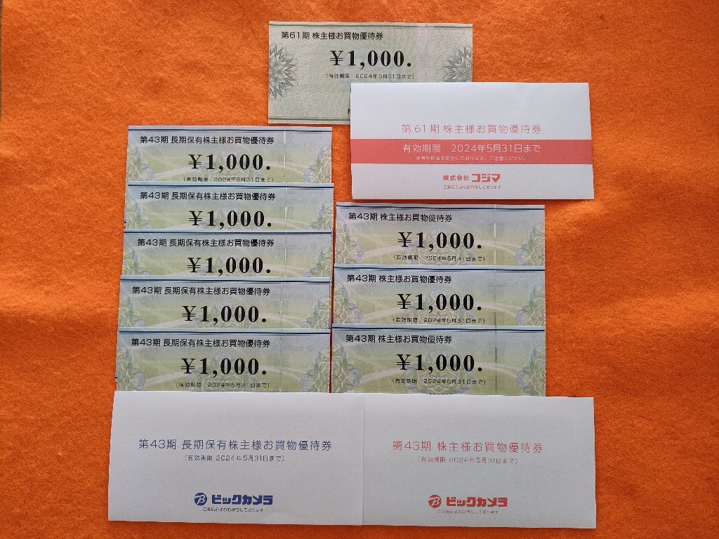 ビックカメラ 【送料無料】ビックカメラ株主優待券8000円分