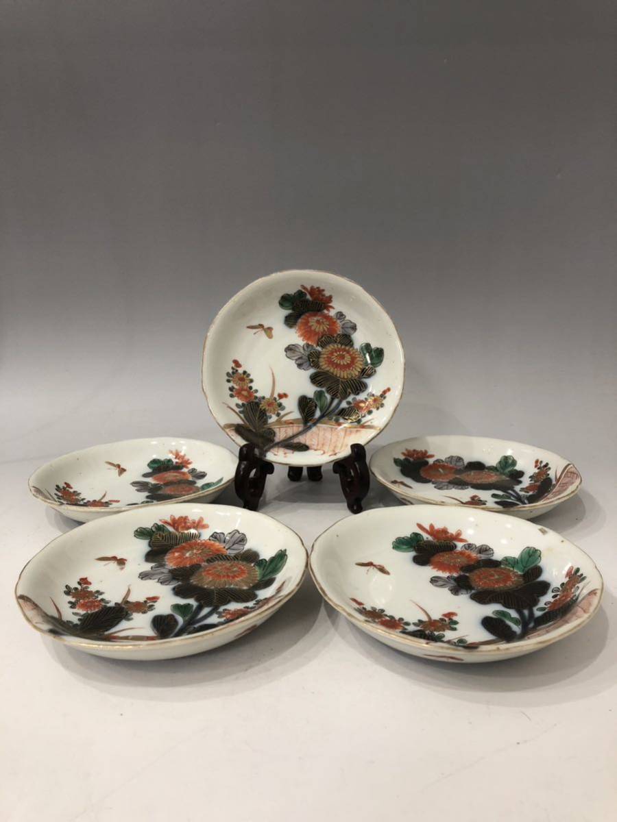 【森】江戸時代　元禄伊万里色絵金彩菊花蝶文輪花皿五客