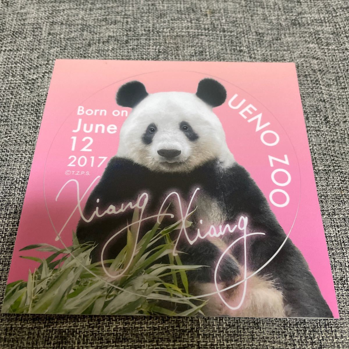 2025夏季 上野動物園 パンダ シャンシャン ステッカー(ステッカー)｜売買されたオークション情報、yahooの商品情報をアーカイブ公開 - オークファン その他