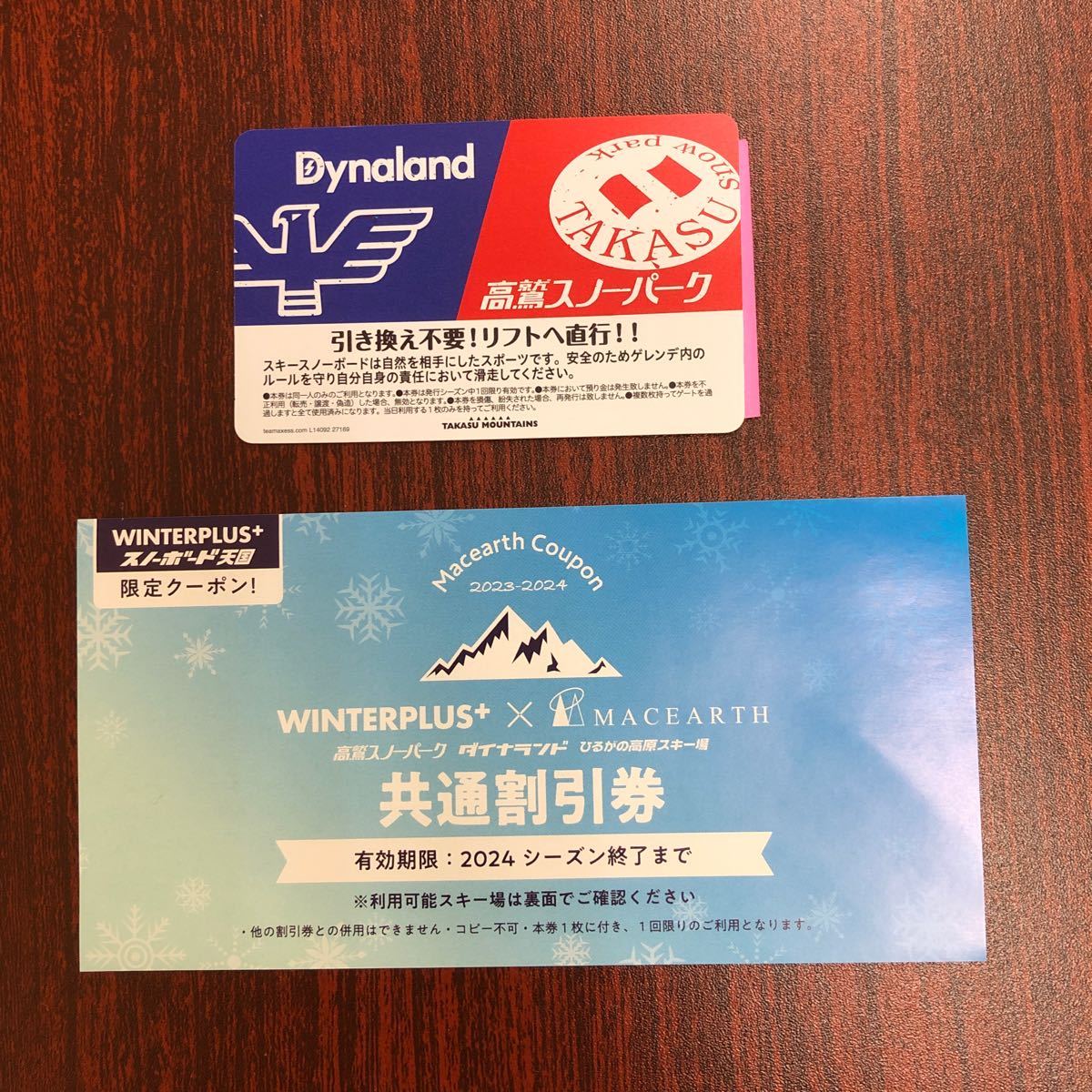 ダイナランド・高鷲スノーパーク 共通リフト券 3枚 ダイナランド