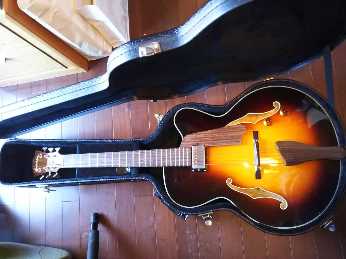 Eastman フルアコギター AR403CE コスパ抜群 激シブモデル Eastman