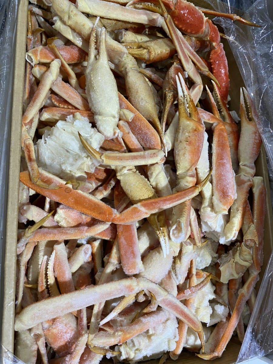 新物　訳ありボイルズワイガニ　8kgずわい蟹　業務用　激安品　冷凍_1