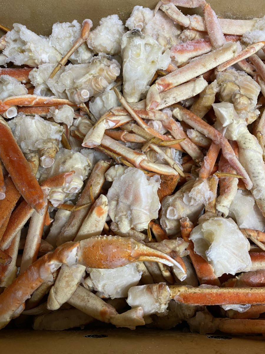 新物　訳ありボイルズワイガニ　8kgずわい蟹　業務用　激安品　冷凍_4