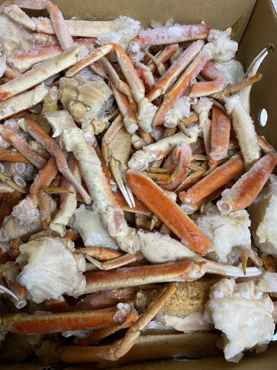 新物　訳ありボイルズワイガニ　8kgずわい蟹　業務用　激安品　冷凍_5