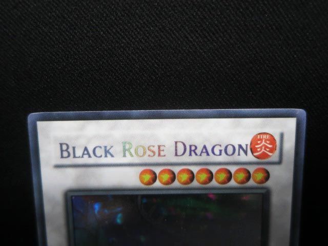 ブラックローズドラゴン　韓国版・中国版 ブラックローズドラゴン 韓国版・中国版 ブラック・ローズ・ドラゴン