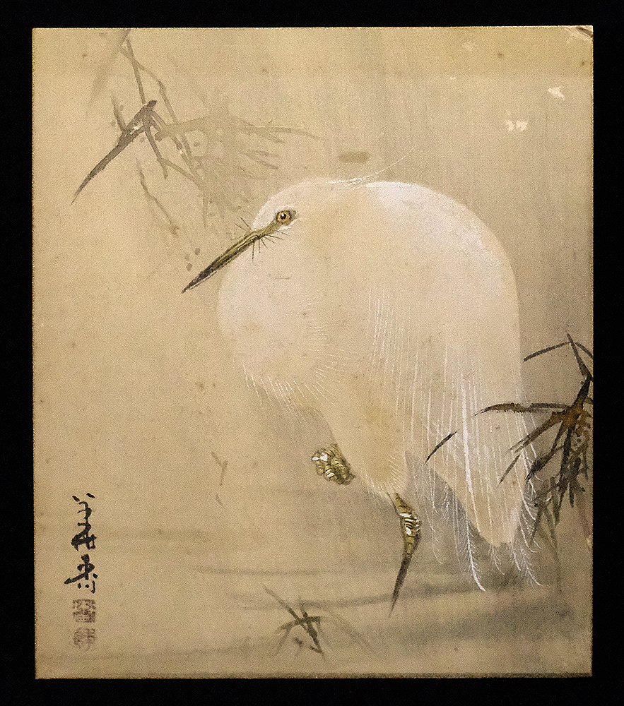 CS3535＞都路華香 絹本肉筆画色紙「白鷺図」／明治-昭和時代前期の日本