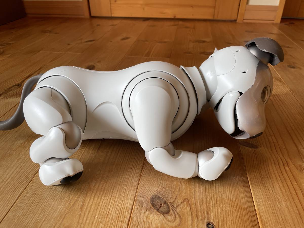 SONY アイボ ERS-1000 Sony ERS-1000 aibo 充電ドック付き 本体 犬型