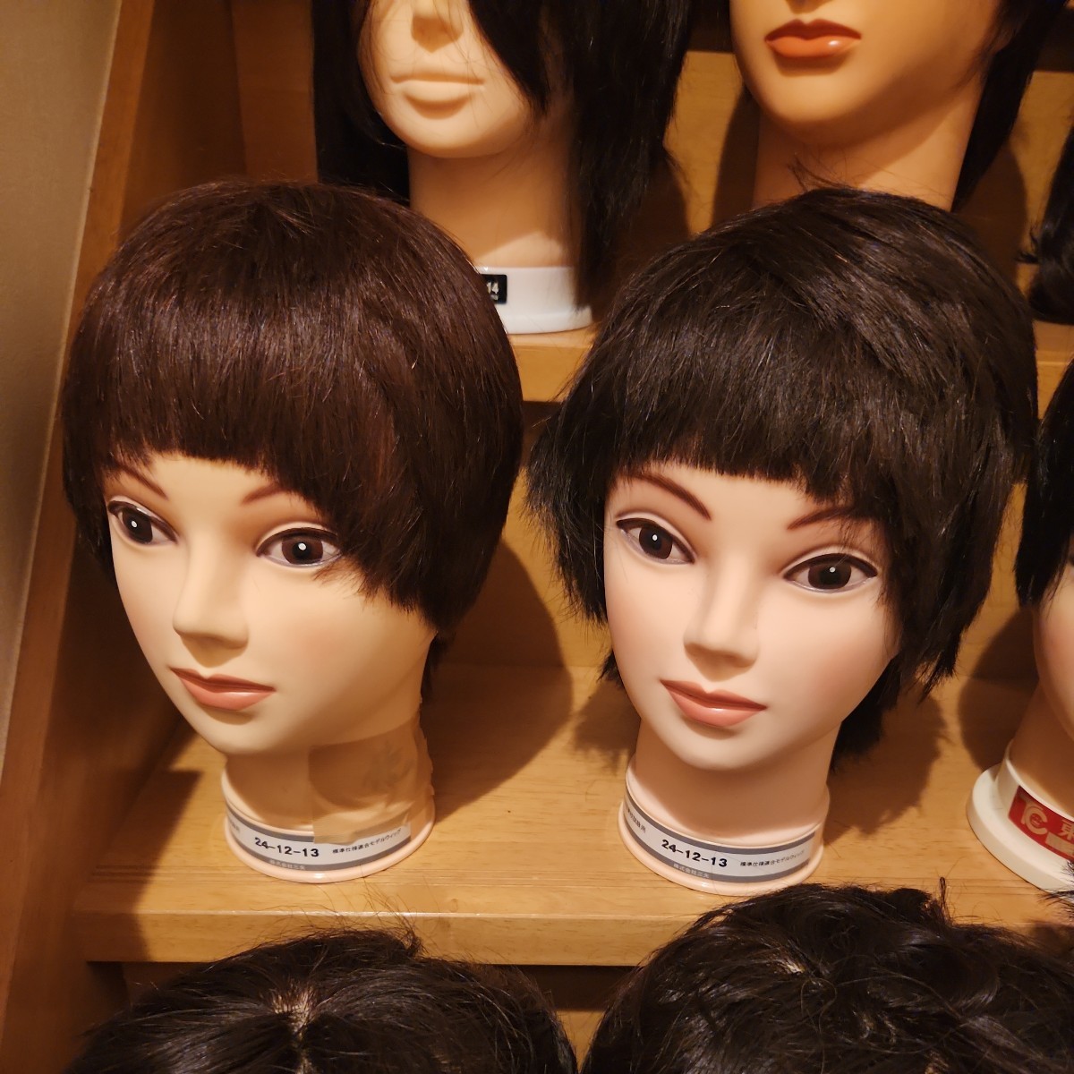 カットウィッグ☆12体セット☆美容師☆理容師☆国家試験☆サロン練習用 カットウィッグ☆12体セット☆美容師☆理容師☆国家試験☆サロン練習用