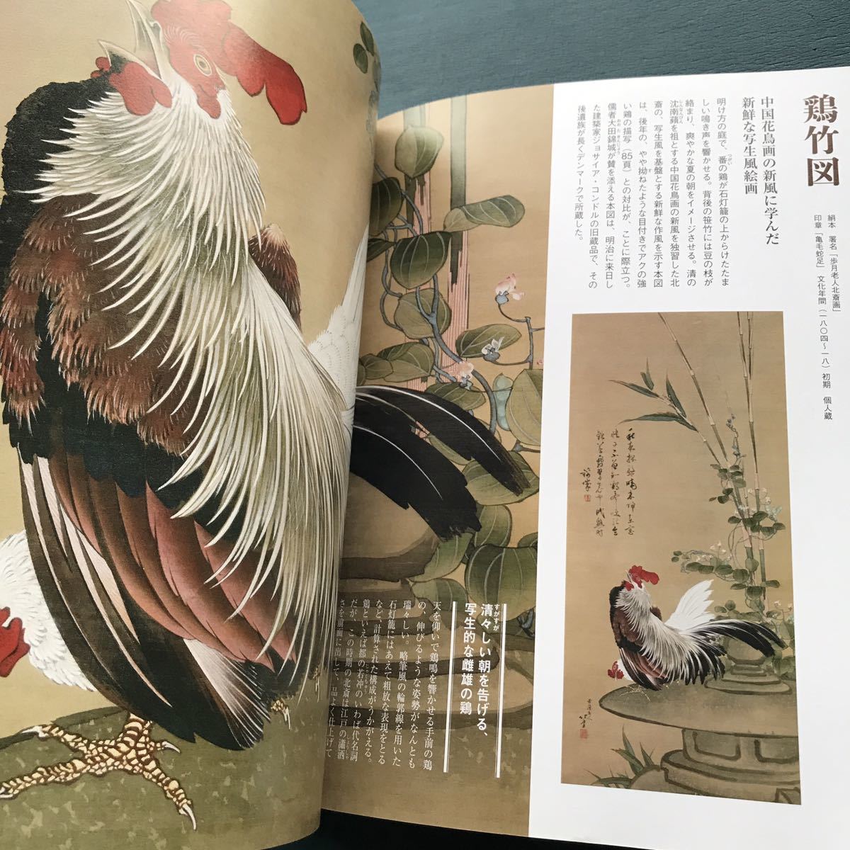 葛飾北斎 肉筆画の世界 立美人図 鏡面美人図など美人画満載(趣味