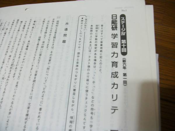 2013年 日能研 6年 前期 合格力育成カリテテスト 全17回 日能研5年生