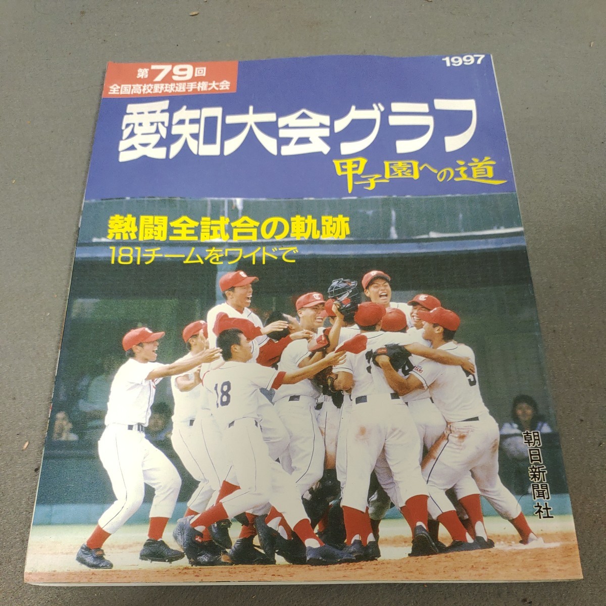 甲子園への道◇1997年発行◇第79回全国高校野球選手権大会◇愛知県予選