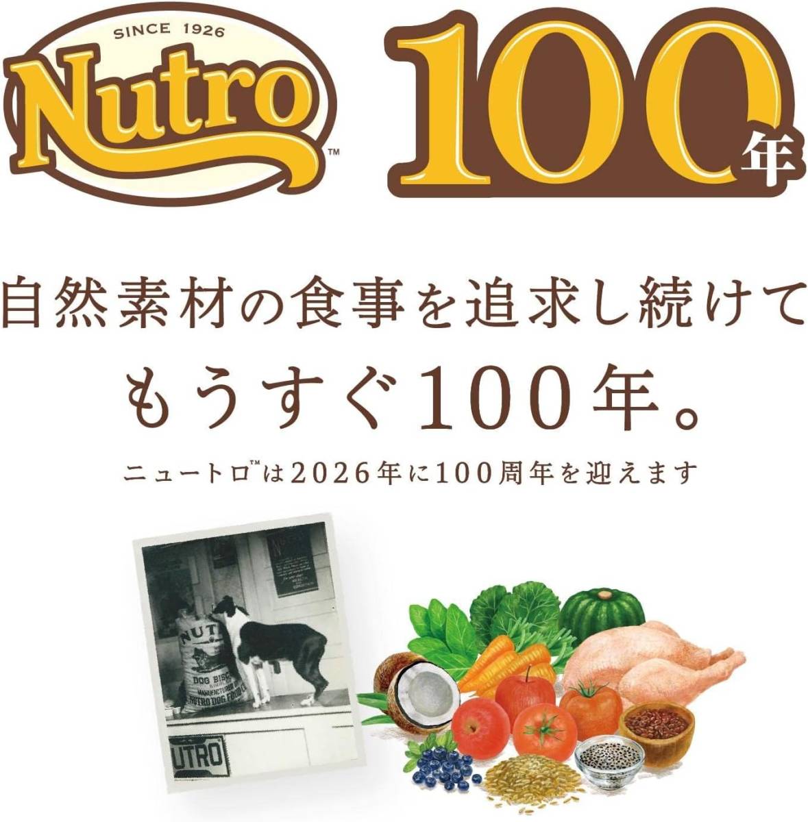 2キログラム (x 1) 通常品 Nutro ニュートロ シュプレモ 超小型犬4kg以下用 成犬用 2kg ドッグフード【自然素材_10