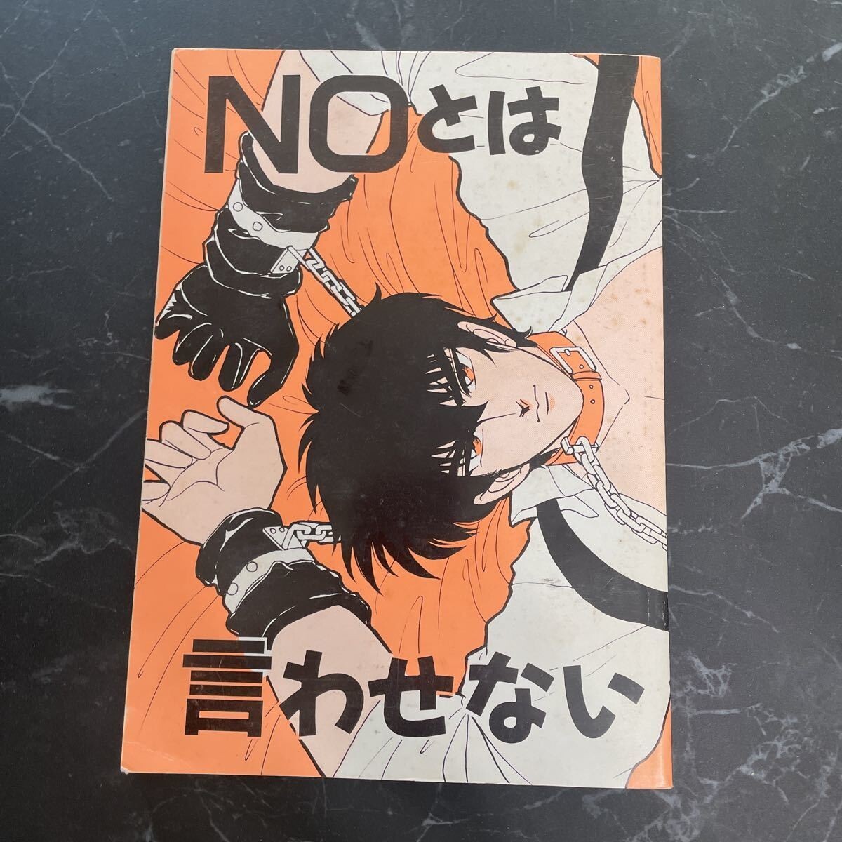入手困難!レア○地獄先生ぬ～べ～ 同人誌 NOとは言わせない/玉藻京介 