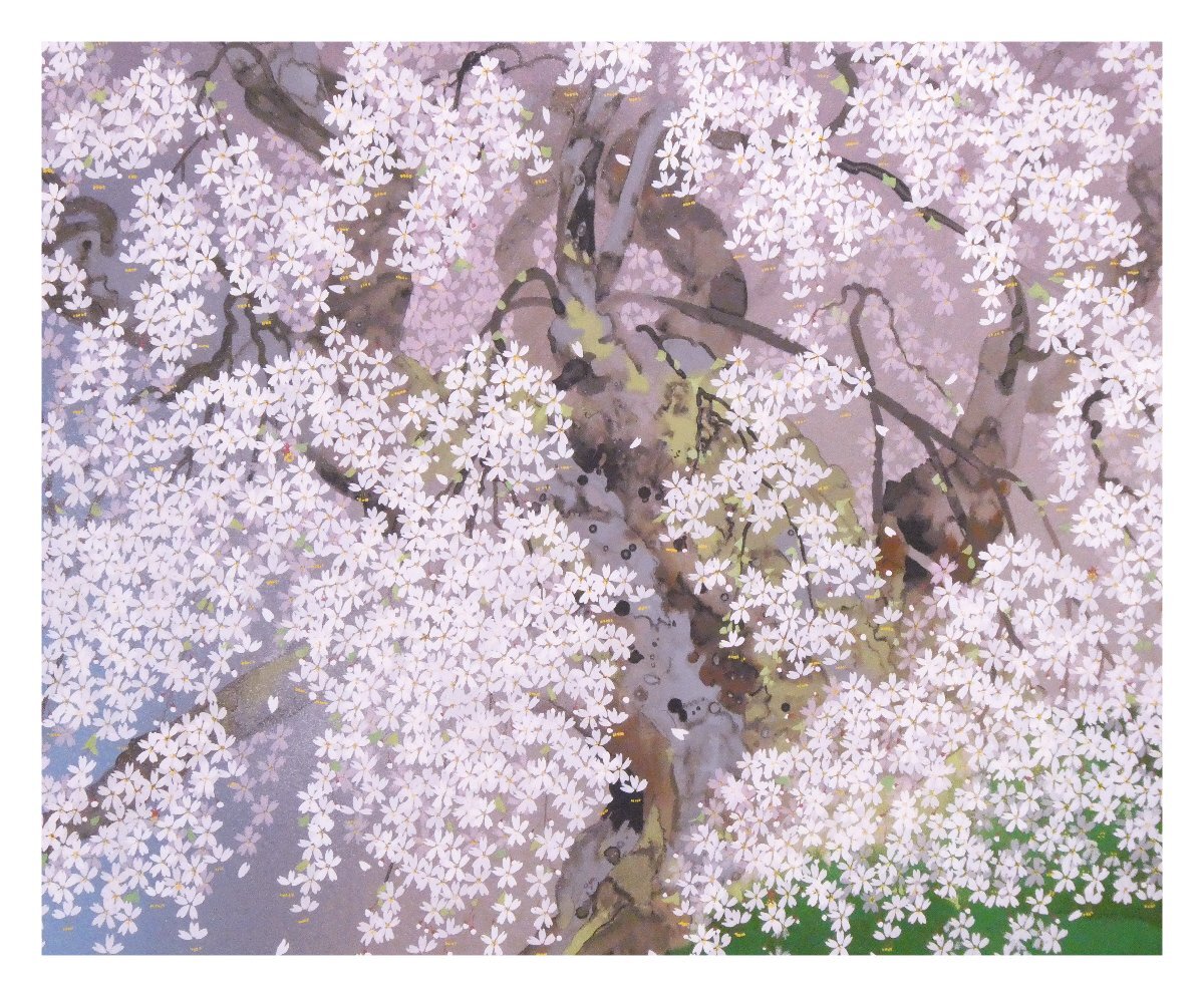 祥【真作】中島千波「三春の瀧桜」シルクスクリーン 52×72.5cm サイン