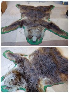 熊 敷物の値段と価格推移は？｜8件の売買データから熊 敷物の価値が