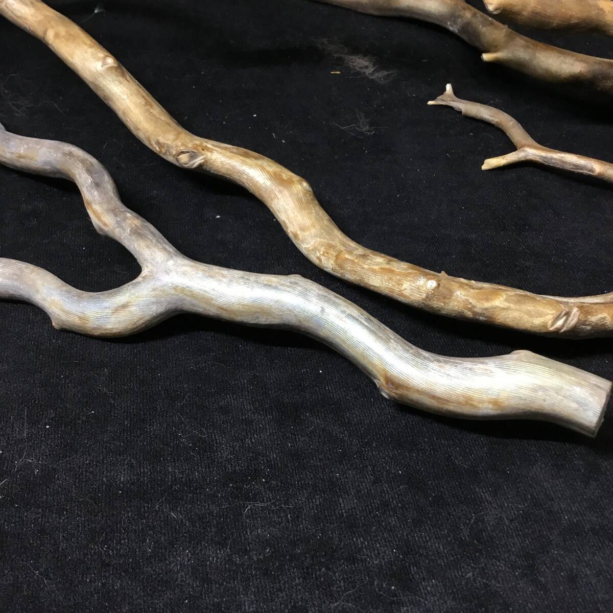 海松 深海松 原木 レインボーコーラル 重量700g 枝珊瑚 置物 オブジェ 材料 No.27_2