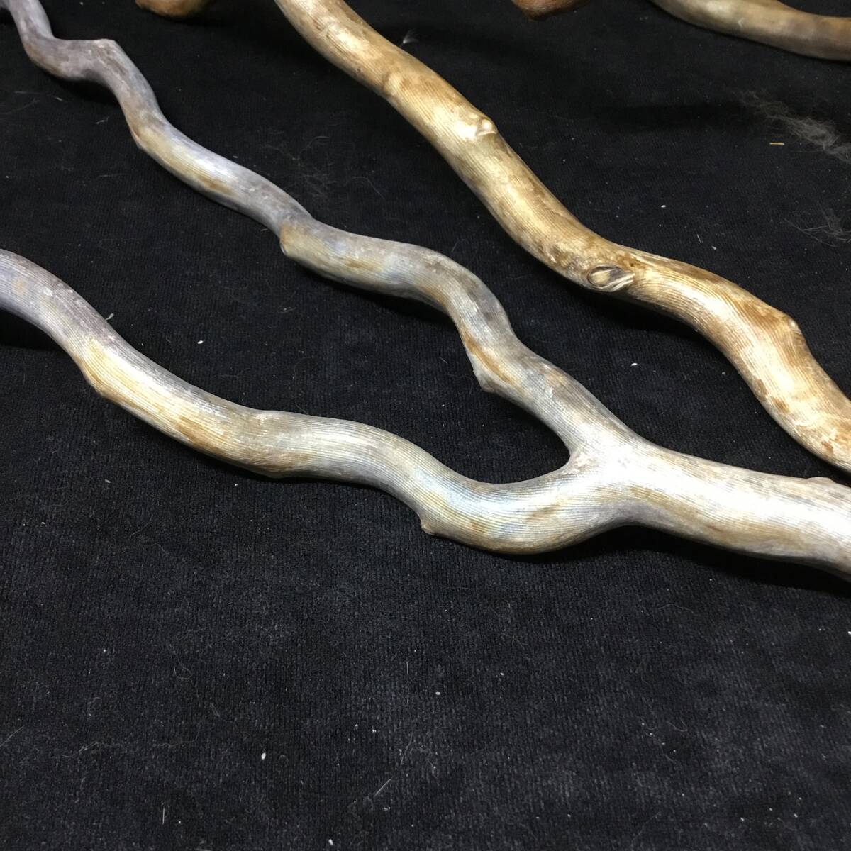 海松 深海松 原木 レインボーコーラル 重量700g 枝珊瑚 置物 オブジェ 材料 No.27_3