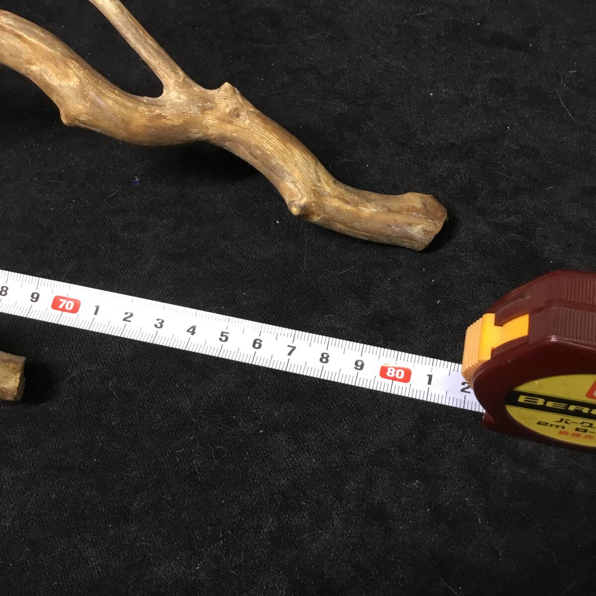 海松 深海松 原木 レインボーコーラル 重量700g 枝珊瑚 置物 オブジェ 材料 No.27_8